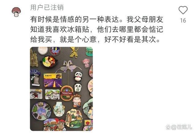 比冰箱贵了上班族收藏的是情感资本pg电子模拟器电脑版冰箱贴已经(图3)